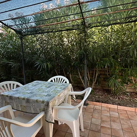 Nelle Marche Montalto delle Marche