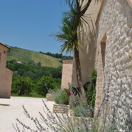 Casa di campagna Nelle Marche Montalto delle Marche